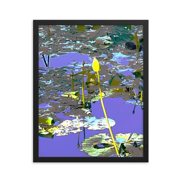 Impressions of lily pads - Framed