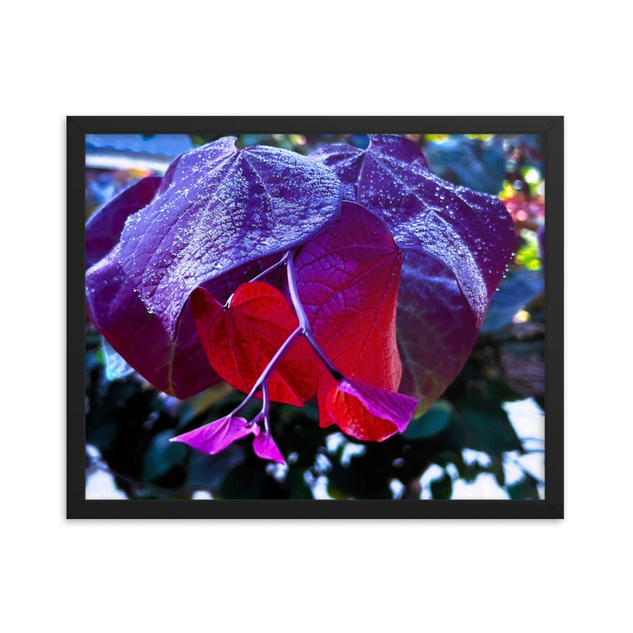 Purple and red leaves after rain- Framed