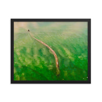 Branch floating on green tinted lake - Framed