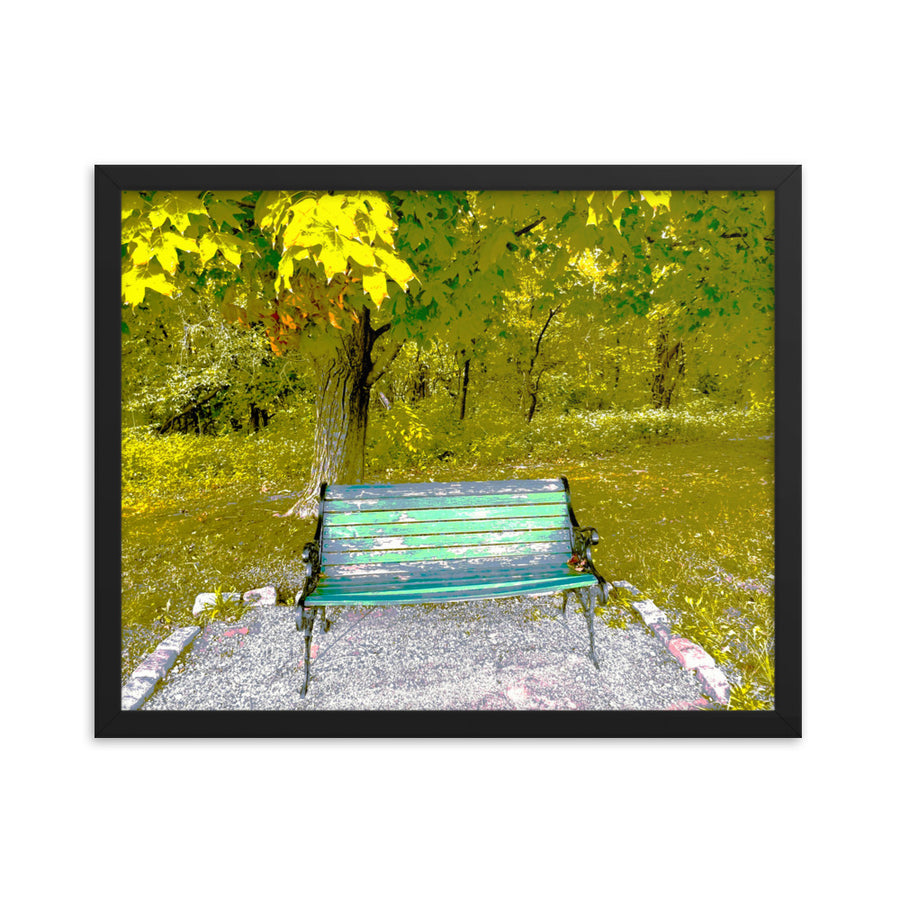 Worn bench in park - Framed