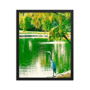 Great Blue Heron under tree canopy - Framed