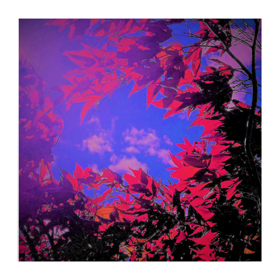 Vivid red leaves circling clouds - unframed