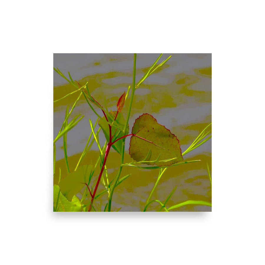 Red border leaf - Unframed