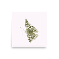 Butterfly wing patterns - Unframed