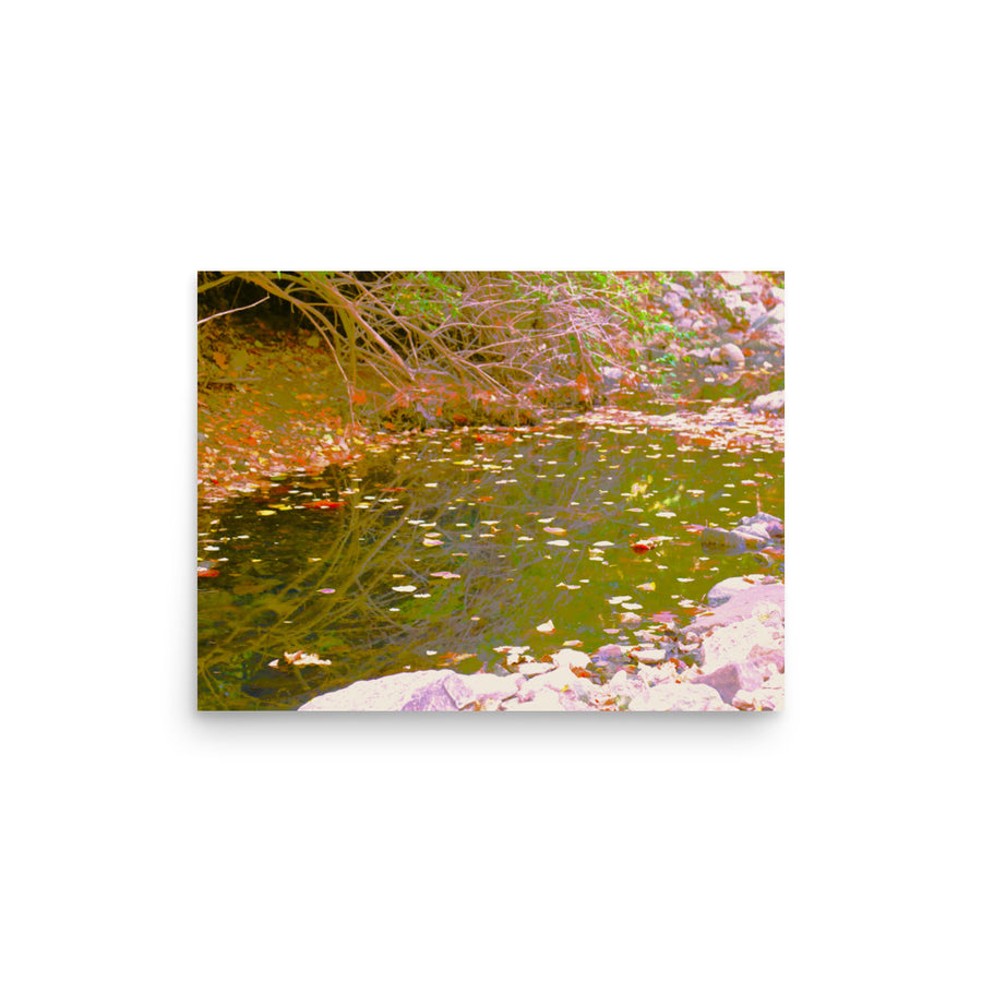 Leaves along a creek - Unframed