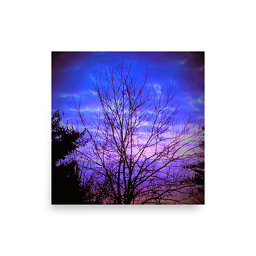 Bare tree with evening sky- Unframed