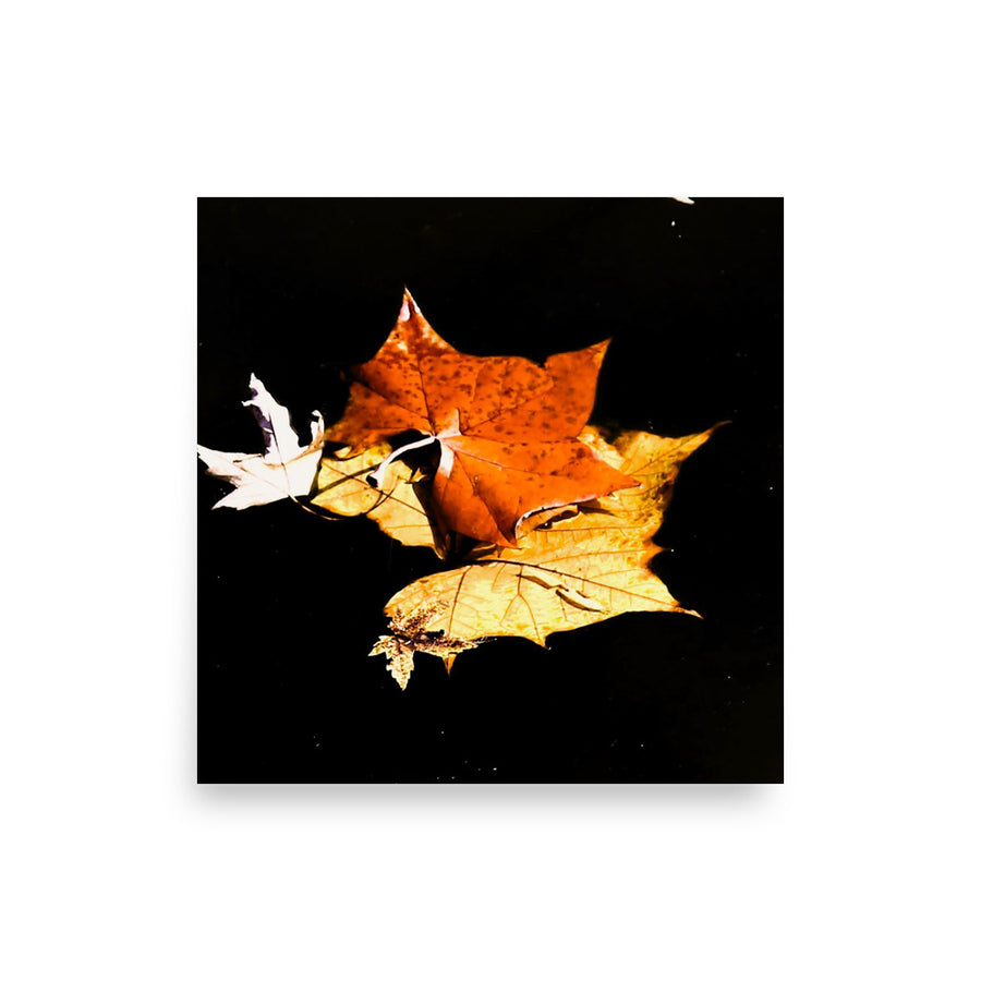 Leaves floating in pond - Unframed