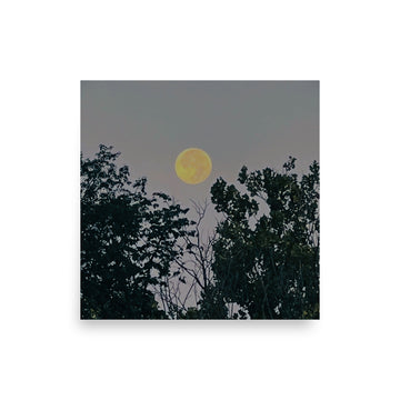 Full moon in morning sky - Unframed