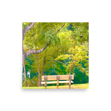 Bench overlooking trees and lake - Unframed