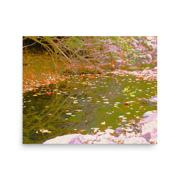 Leaves along a creek - Unframed