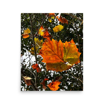 Big multicolored leaf and friends - Unframed