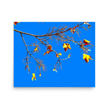 Yet to fall leaves from a branch - Unframed