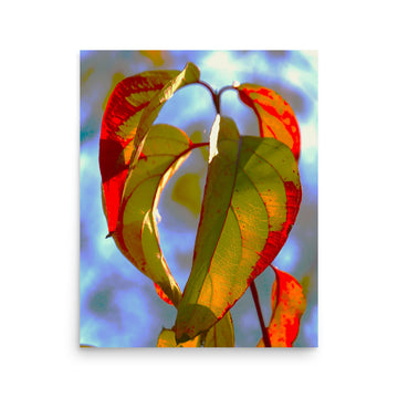 Green/Red Leaves - Unframed
