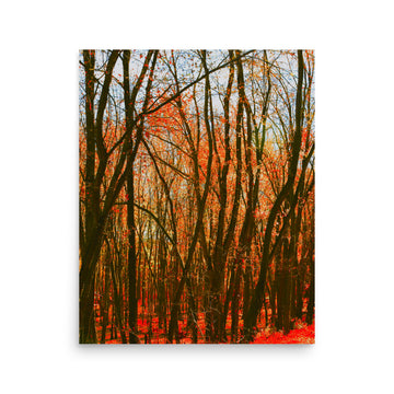 Impressions of Fall Forest - Unframed