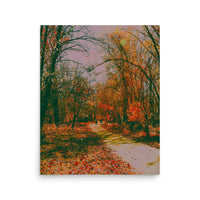 Fall path - Unframed