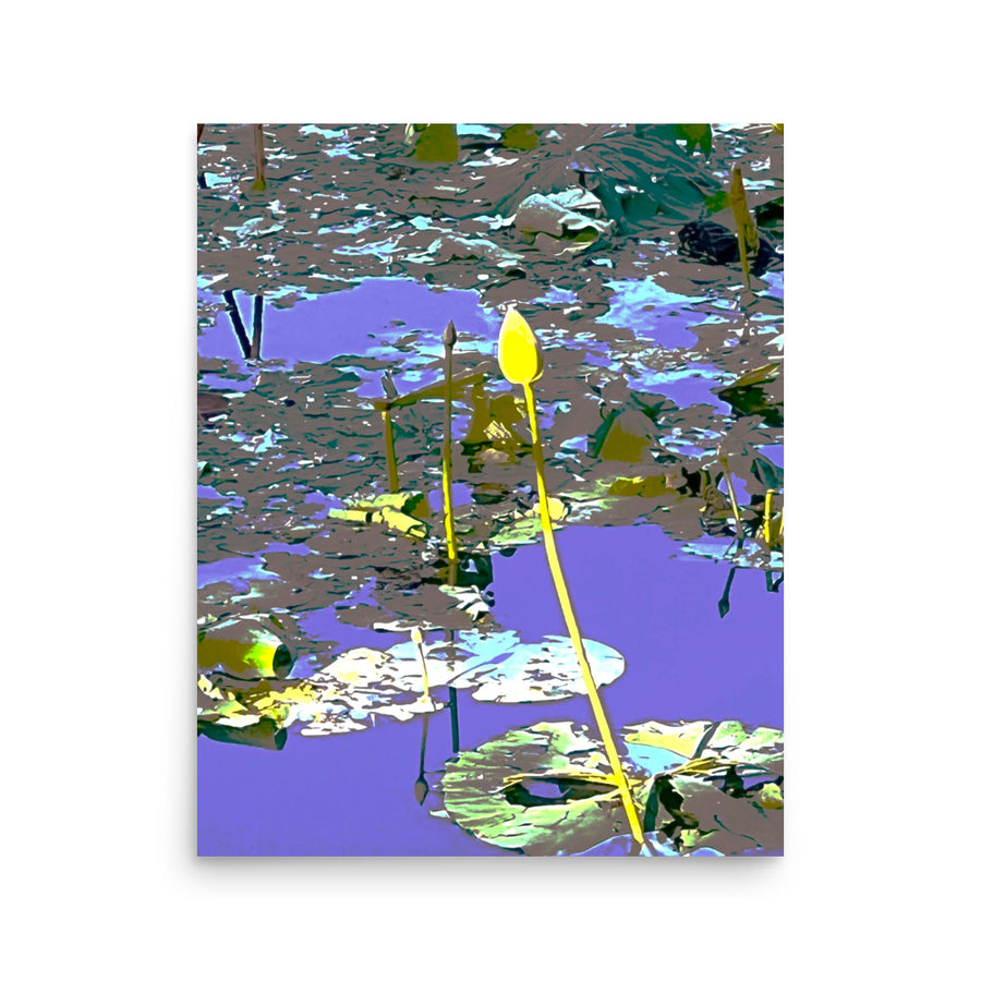 Impressions of lily pads - Unframed