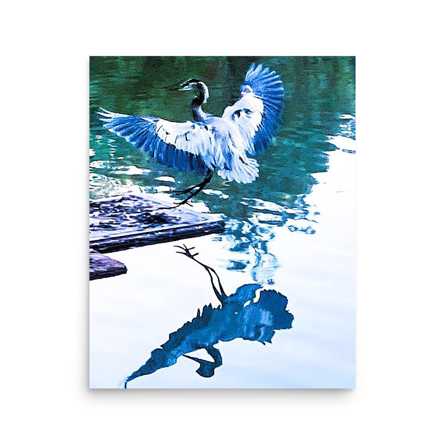 Impressions of Great Blue Heron wings and reflection - Unframed