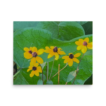 Flowers framed by leaf - Unframed