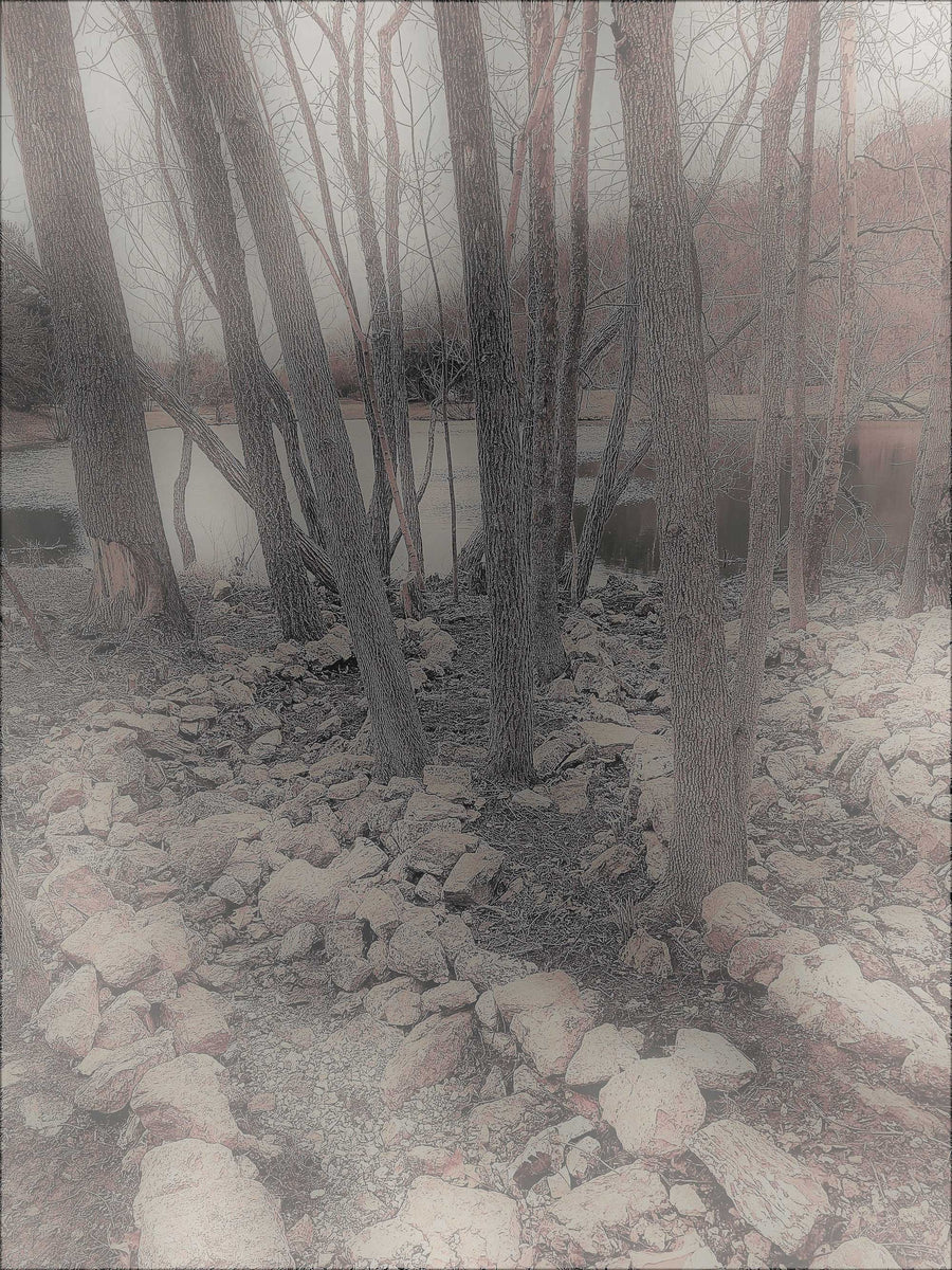 Trees along a stony path - Unframed