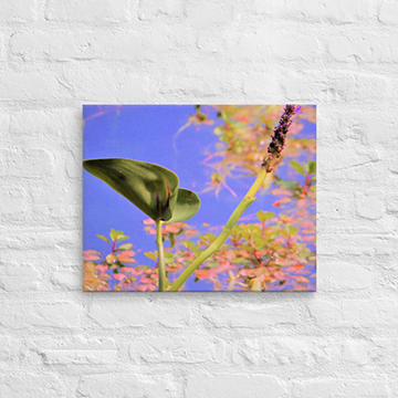 Colors of Spring on a lake - Canvas