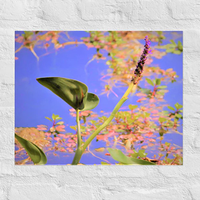 Colors of Spring on a lake - Unframed