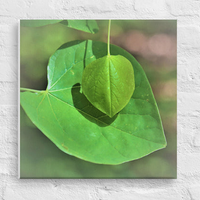 Leaf on leaf - Canvas