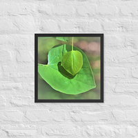 Leaf on leaf - Framed
