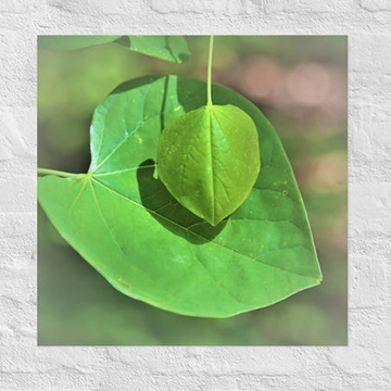 Leaf on leaf- Unframed