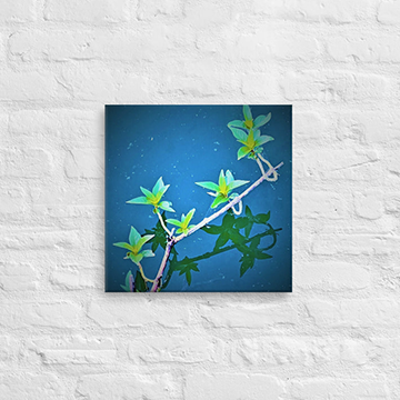 Leaves on twigs, floating on lake - Canvas