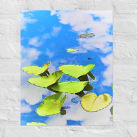 Lilies "floating" in clouds