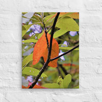 Orange leaf with intersecting branches - Canvas