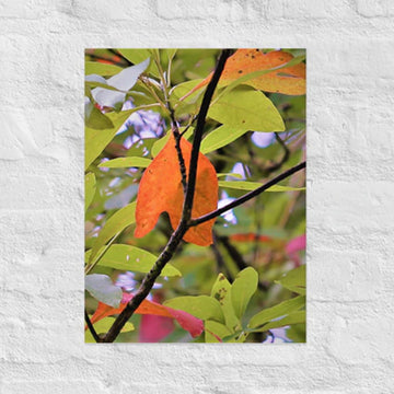 Orange leaf with intersecting branches - Unframed