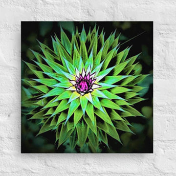Wild flower sunburst - Canvas
