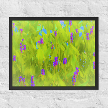 Purple stalks among green - Framed