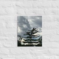 Single tree and clouds - Canvas