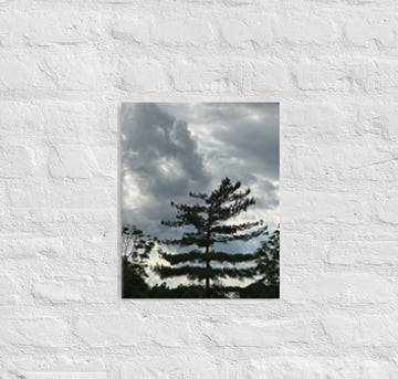 Single tree and clouds - Canvas