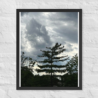 Single tree with clouds - Framed