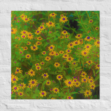 Daisies galore - Unframed