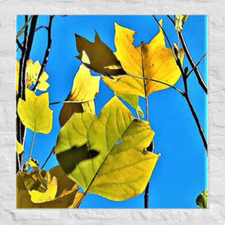 Leaves of different shapes and colors - Unframed