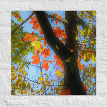 Red and yellow leaves - Unframed