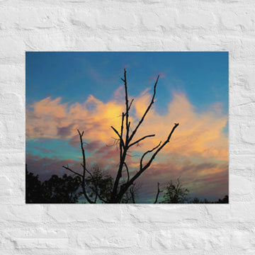 Single tree with multicolored clouds- Unframed