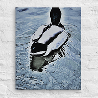 White feathers of goose on blue lake - Canvas