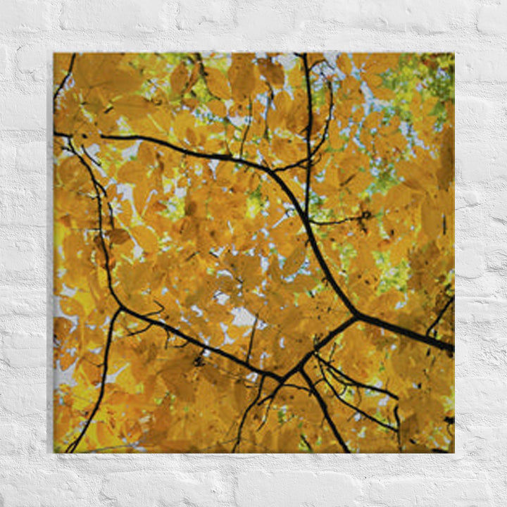 Yellow in branches - Canvas