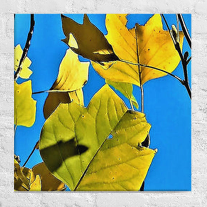 Leaves of different shapes and colors - Canvas