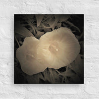 Two white flowers- Canvas