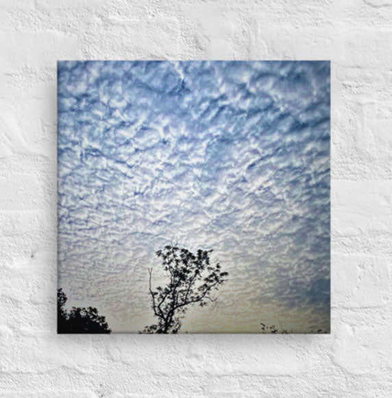Tree top among clouds - Canvas