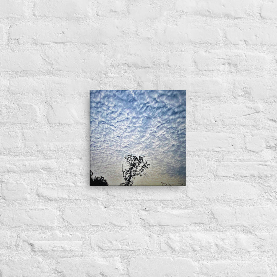 Tree top among clouds - Canvas
