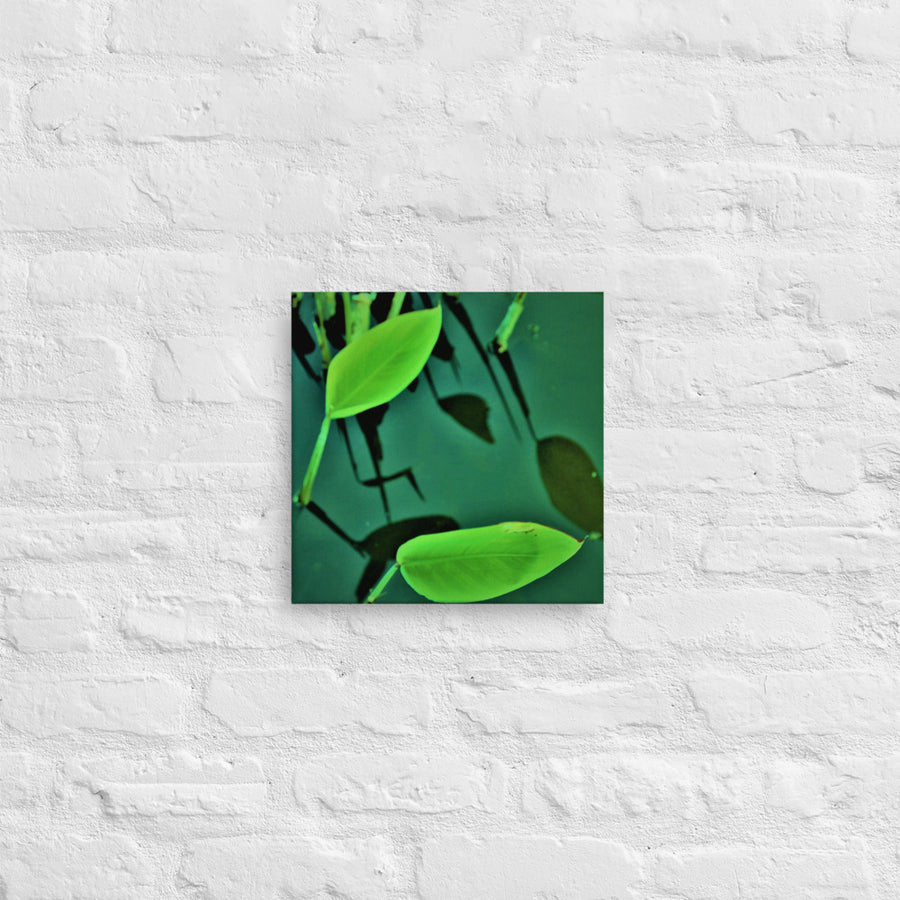Two plants with reflections - Canvas