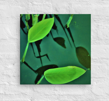 Two plants with reflections - Unframed