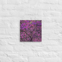 Flowering tree - Canvas